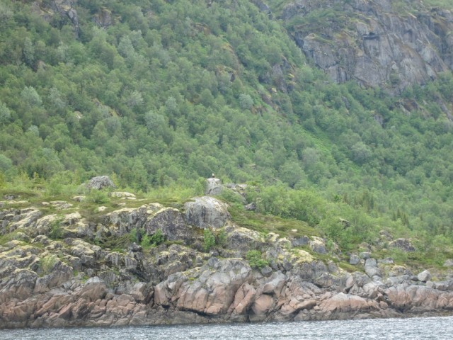 Hurtigruten_2015-06-25_17-13-1